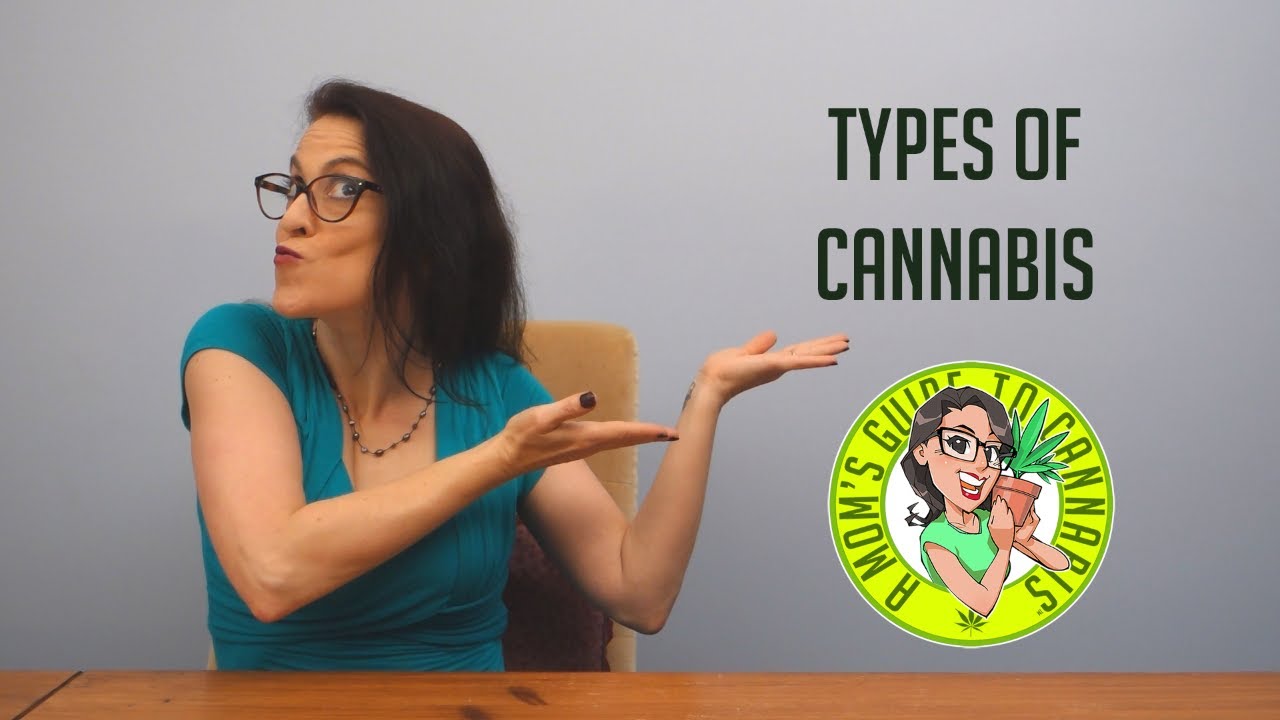 Types of Cannabis- A Mom's Guide To Cannabis Ep 2
