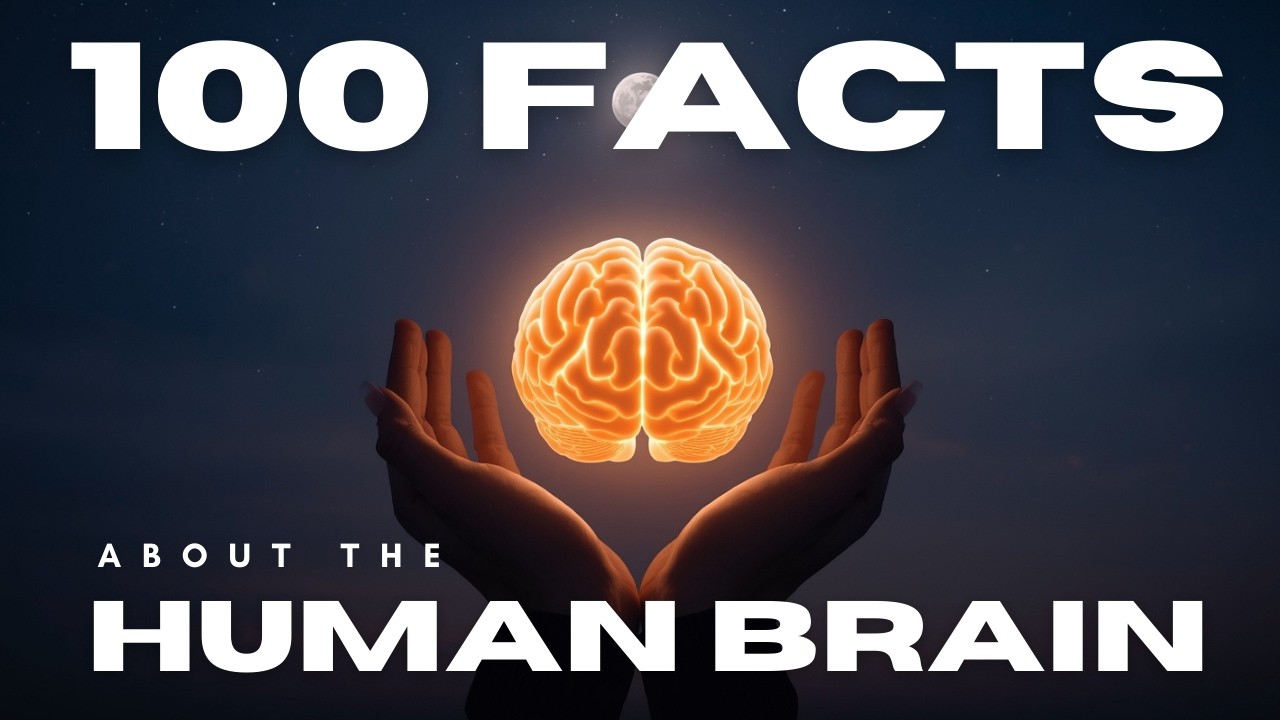 Your Brain Filters Reality Without You Knowing | Fall Asleep To Science Facts