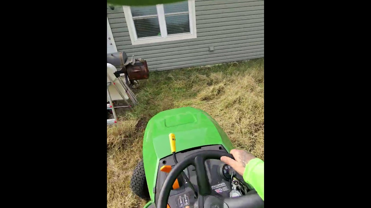 Rooster trying out his new swerfer skateboard swing lol