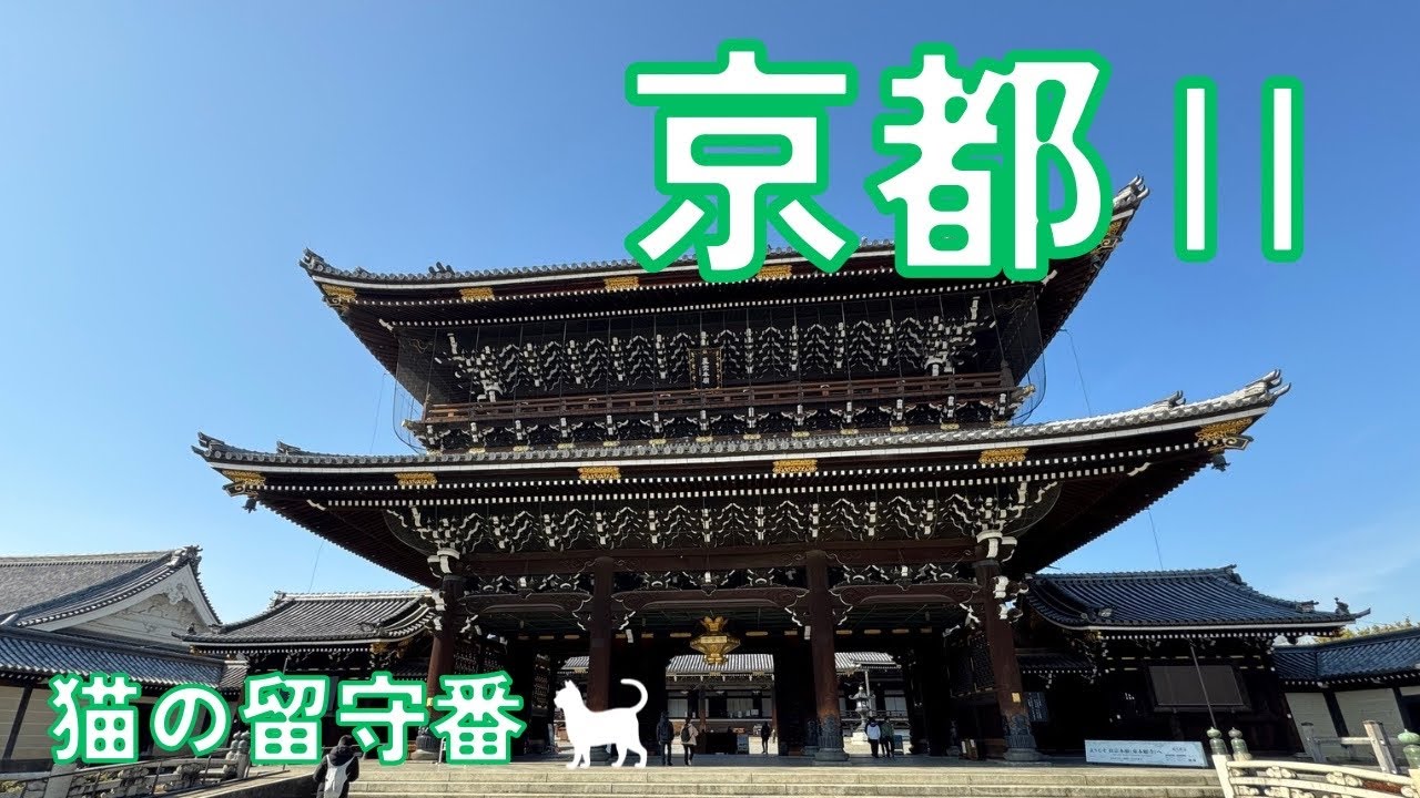 東本願寺＆ペットカメラが教えてくれた京都旅行中の愛猫の留守番
