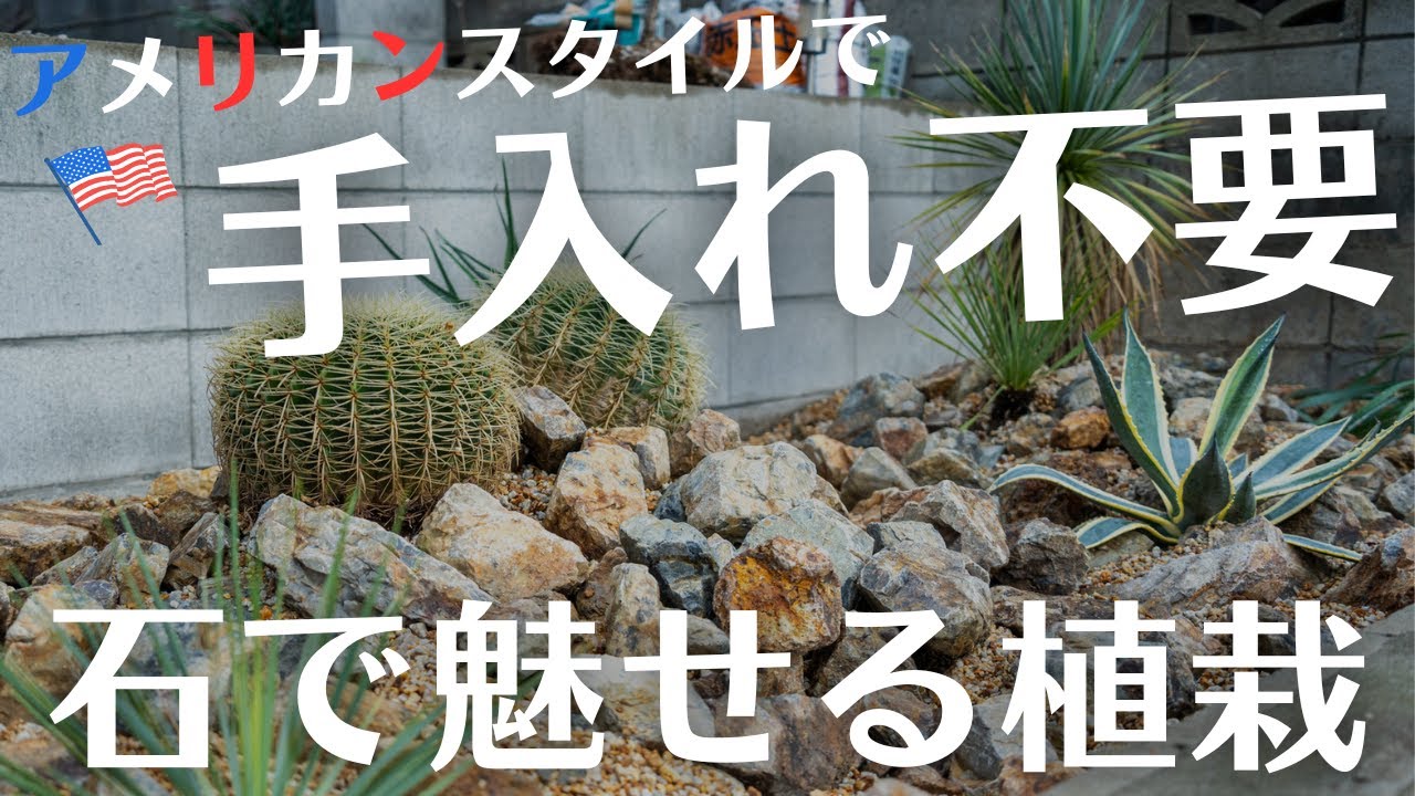 【かっこいいのに植物のメンテナンス不？！】ずぼらなあなたにオススメ！