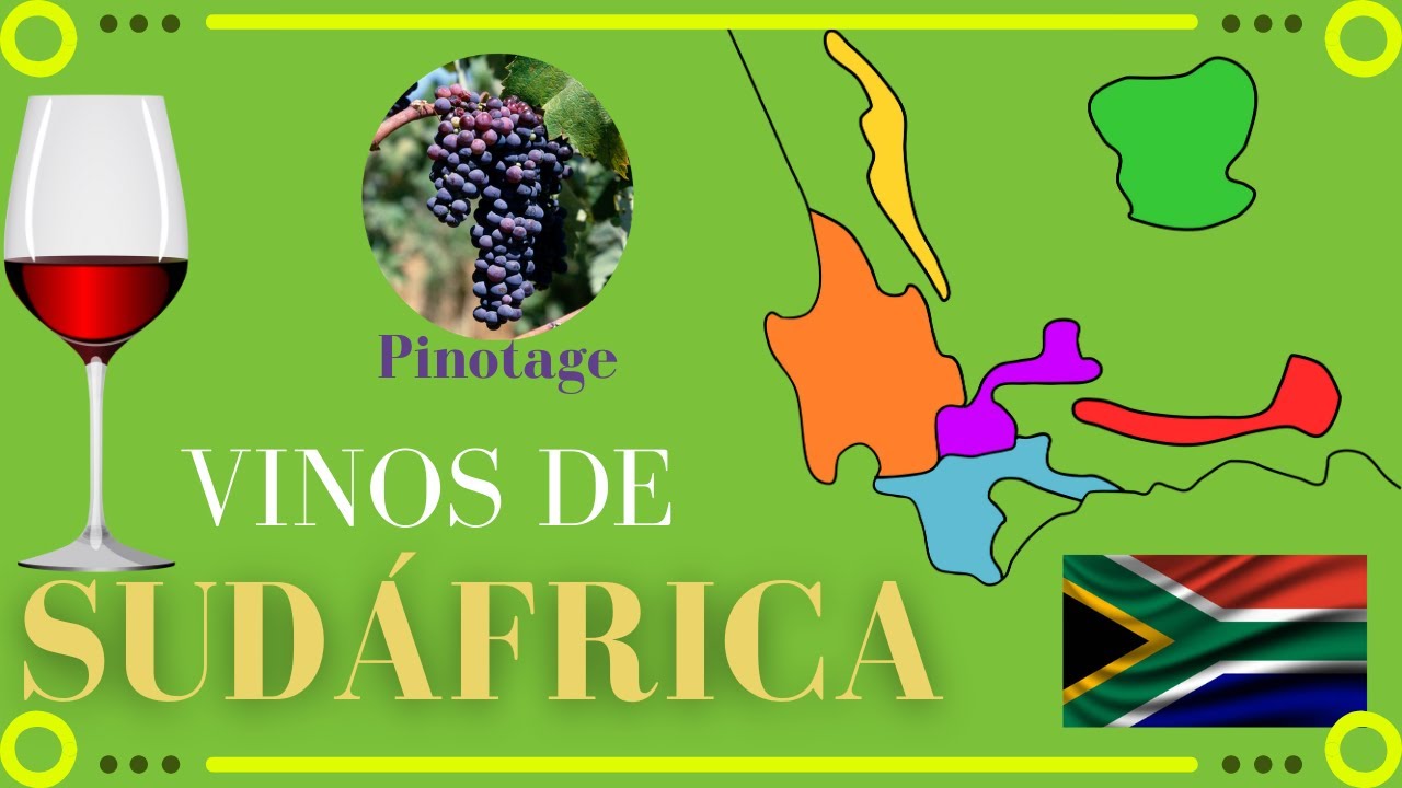 VINOS de SUDÁFRICA 🍷[Factores climáticos, uvas y regiones vinícolas]