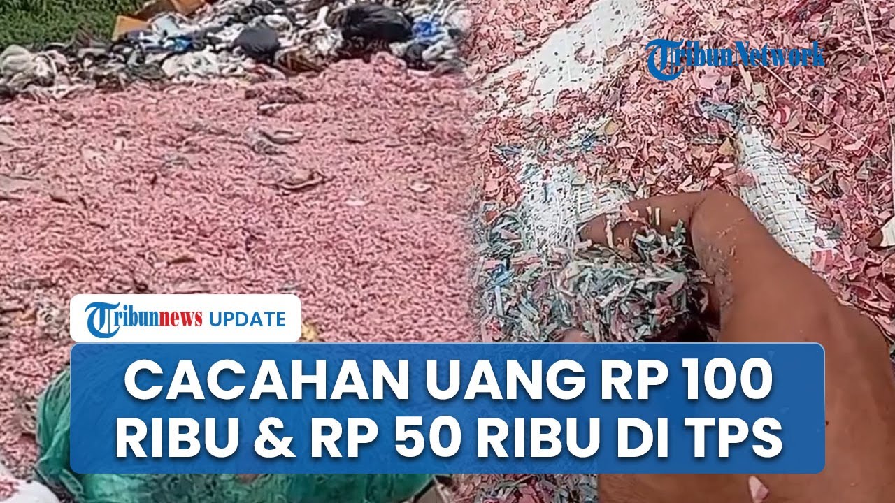 Cacahan Uang Pecahan Rp 100 Ribu dan Rp 50 Ribu di TPS Liar Bekasi, Dibungkus Karung & Berserakan