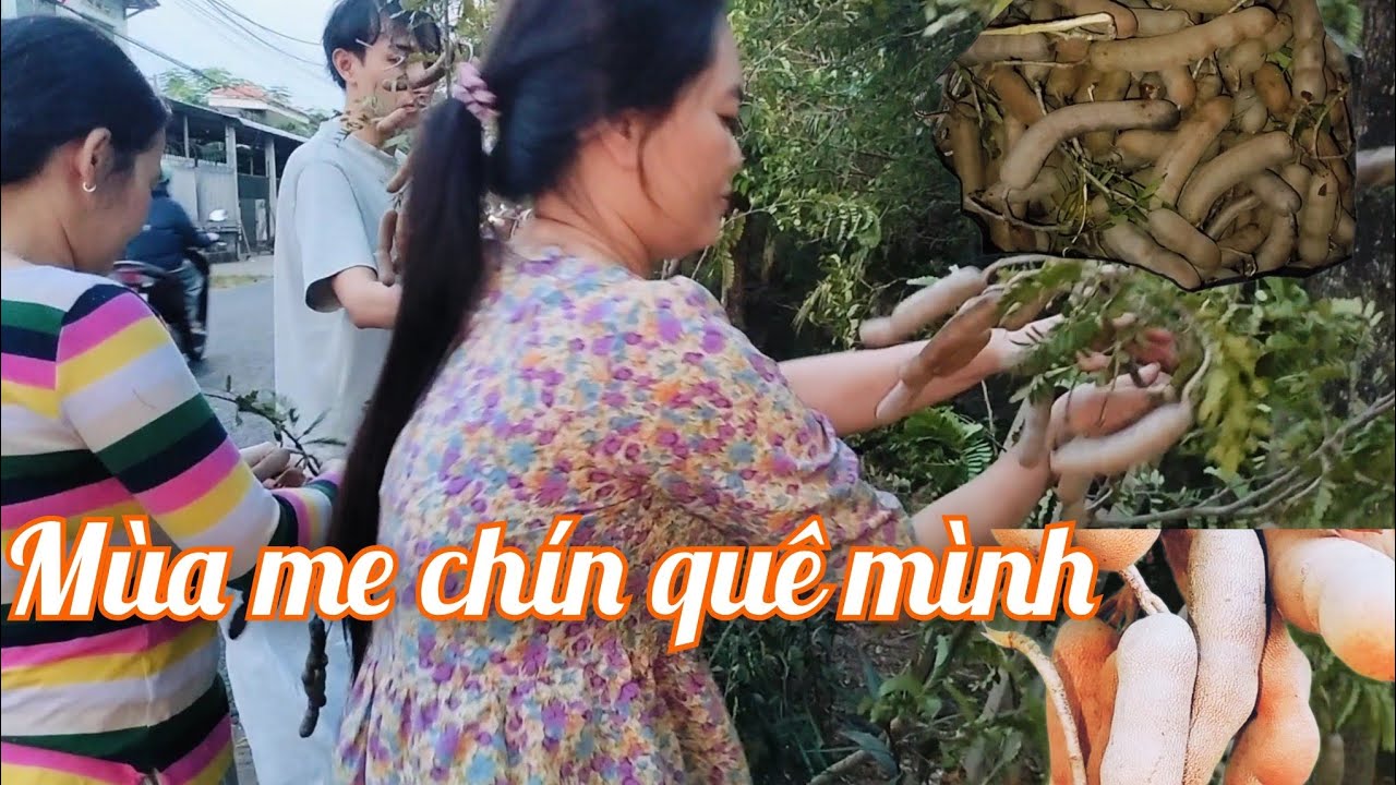 #51 Mùa me chín quê mình 