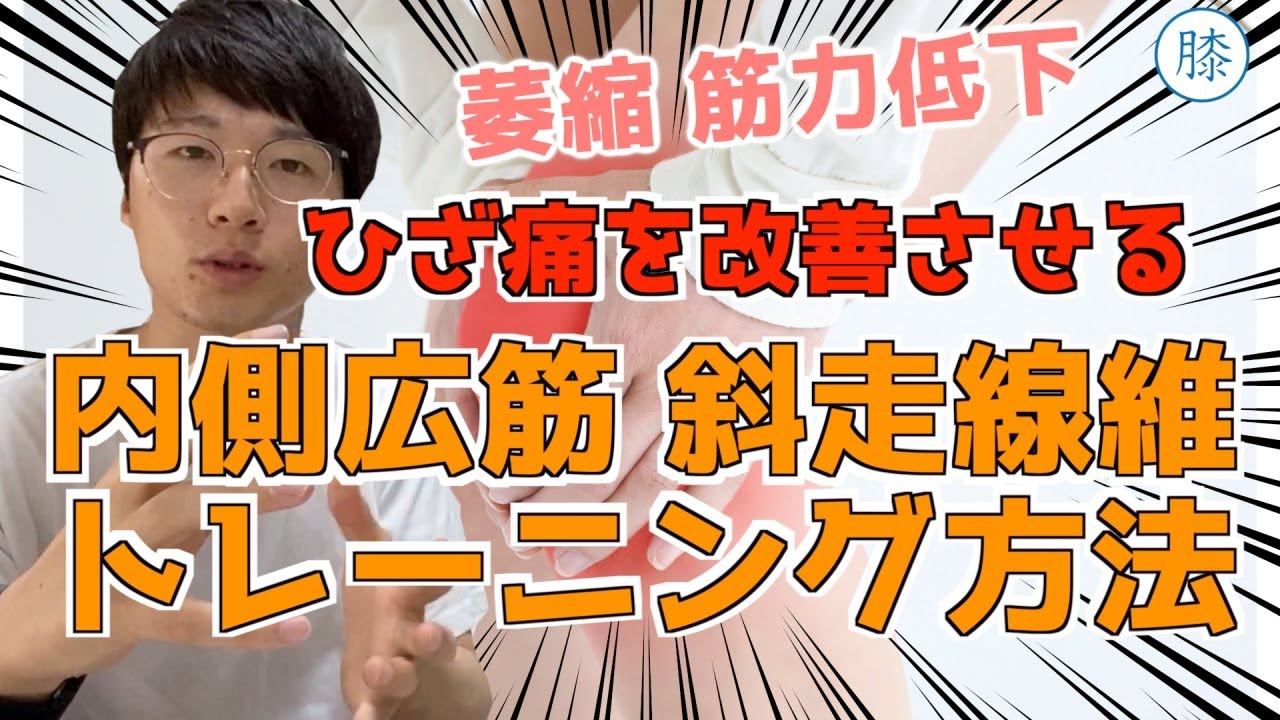 【膝トレ】内側広筋斜走線維の筋力低下と萎縮に対する改善トレーニング方法と論文データ#VastusMedialisOblique#家で一緒にやってみよう《東京ひざ痛専門整体院 京四郎-KYOSIRO-》