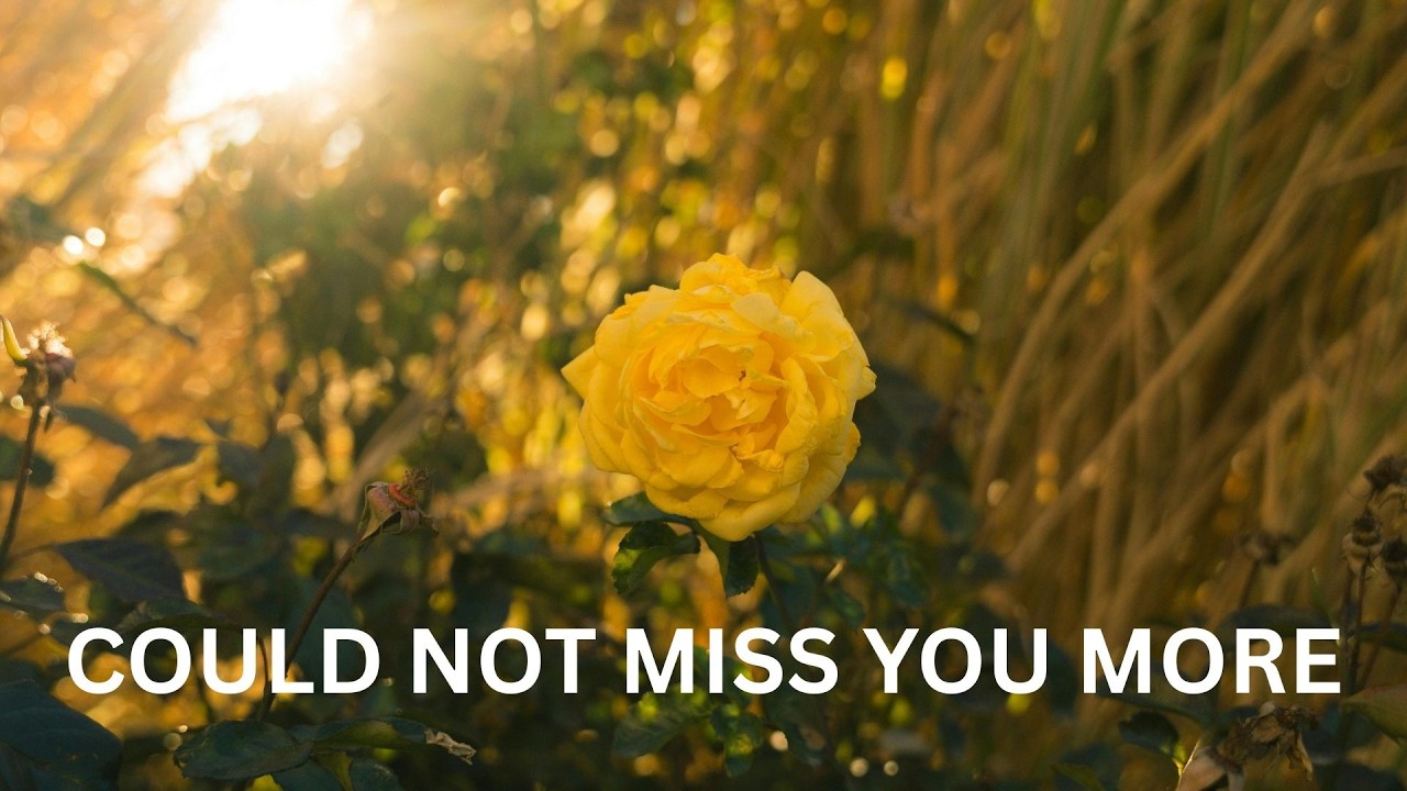 Could Not Miss You More