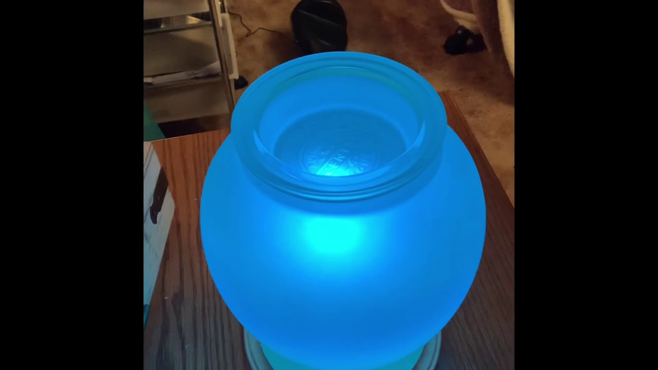 Colored Bulbs for Scentsy Warmers