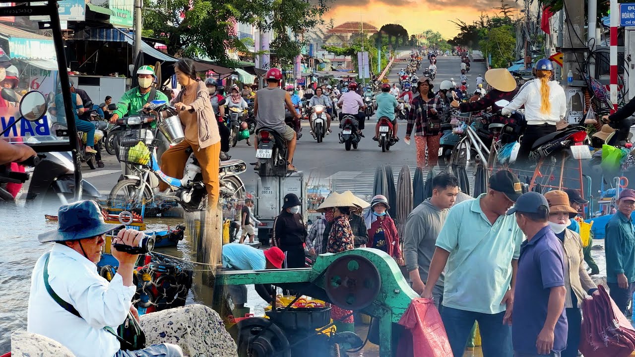 🇻🇳 Cảng cá Lớn Nhất Bình Thuận, Phiên Chợ Sáng Hàng 1000 Tấn Cá Mỗi Ngày từ Nghề Biển