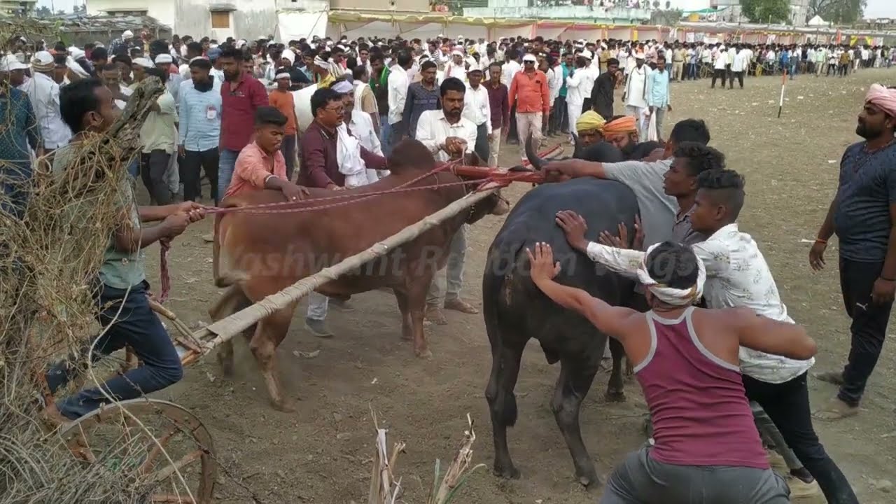Shankar Pat Pratiyogita Sawargaon 👍सावरगाव शंकर पट स्टार्टींग पॉईंट👍Starting Point Video6 March 2023
