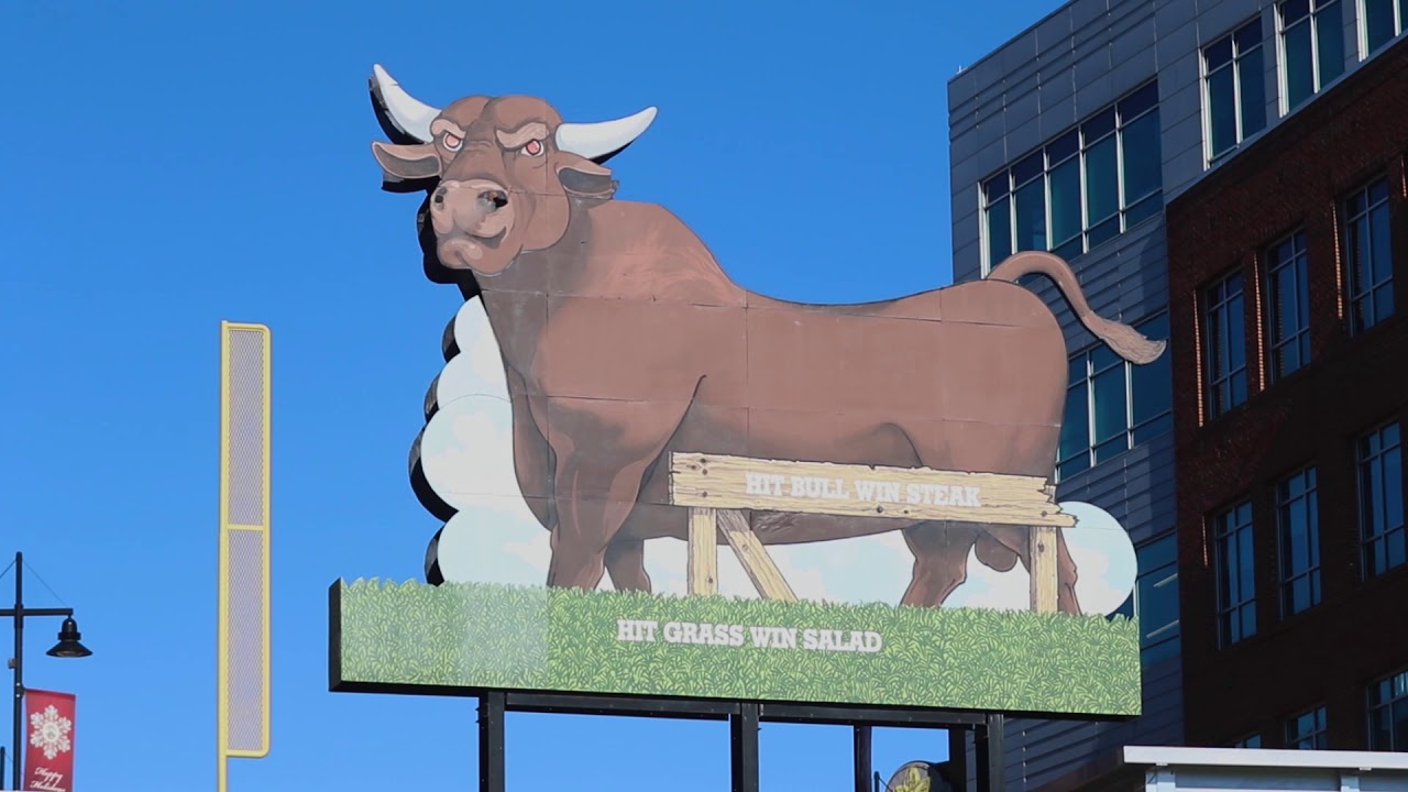 This is Durham Bulls Baseball - Hit Bull Win Steak