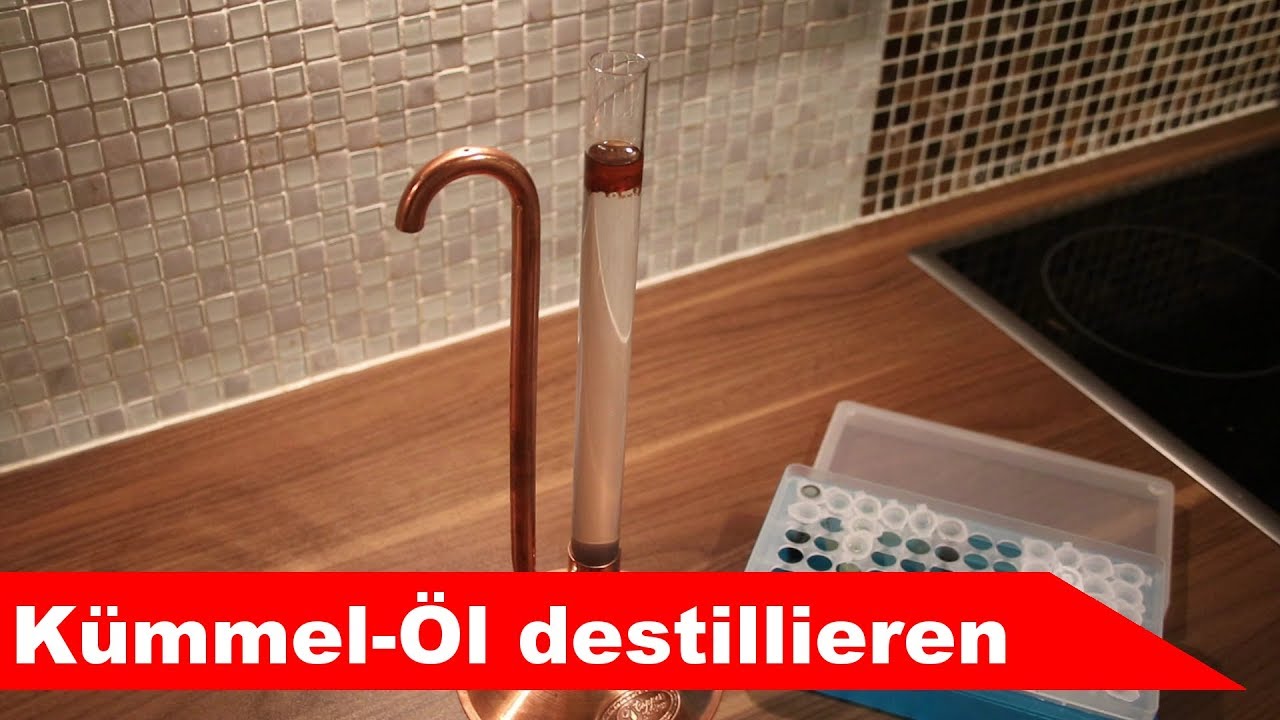 🌷 K&uuml;mmel destillieren 🌻 - &auml;therisches &Ouml;l selber machen - diSTILLed