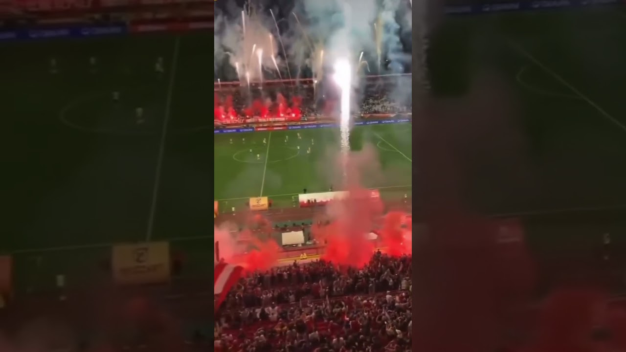 Crvena Zvezda(Red Star Belgrade) became champions of Serbia!