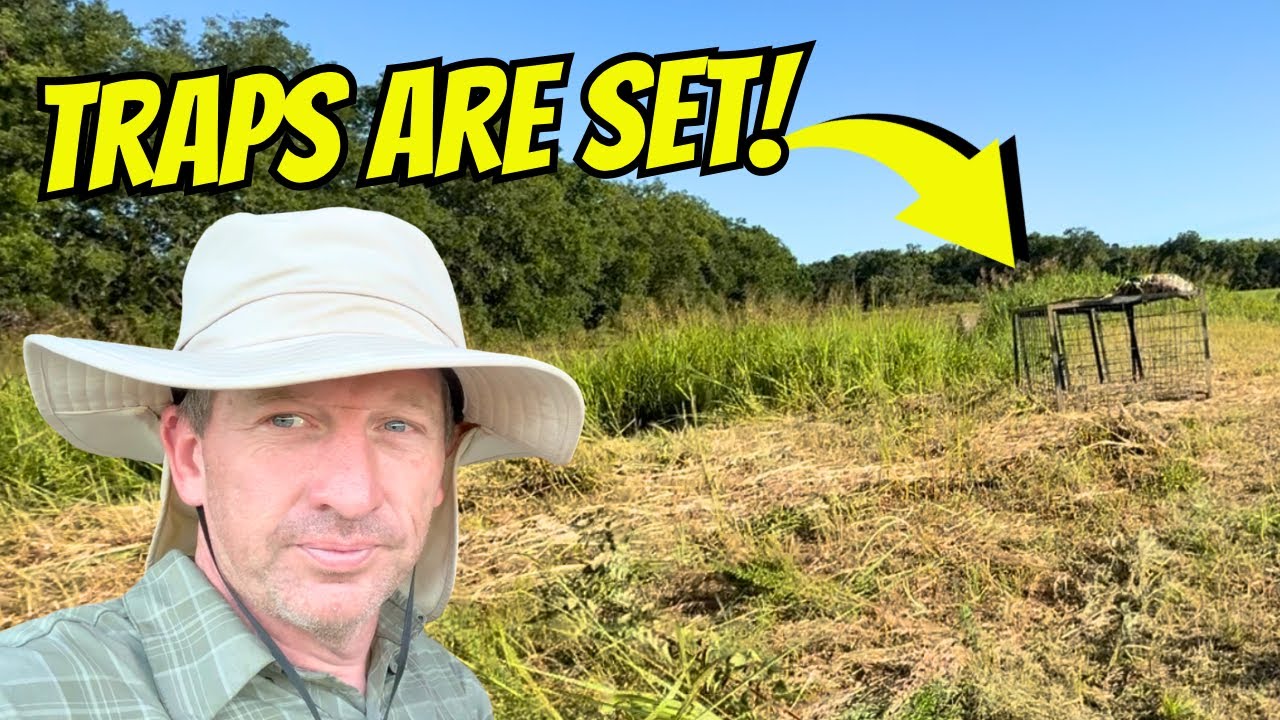 PROOF They Were Lurking On Our Property!