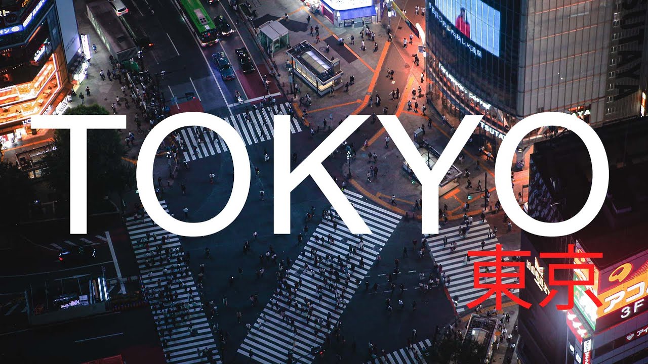 Family Travel to Tokyo: Best Hotels, Restaurants | TeamLab, Pok&eacute;mon Center & Mini Pig Caf&eacute;