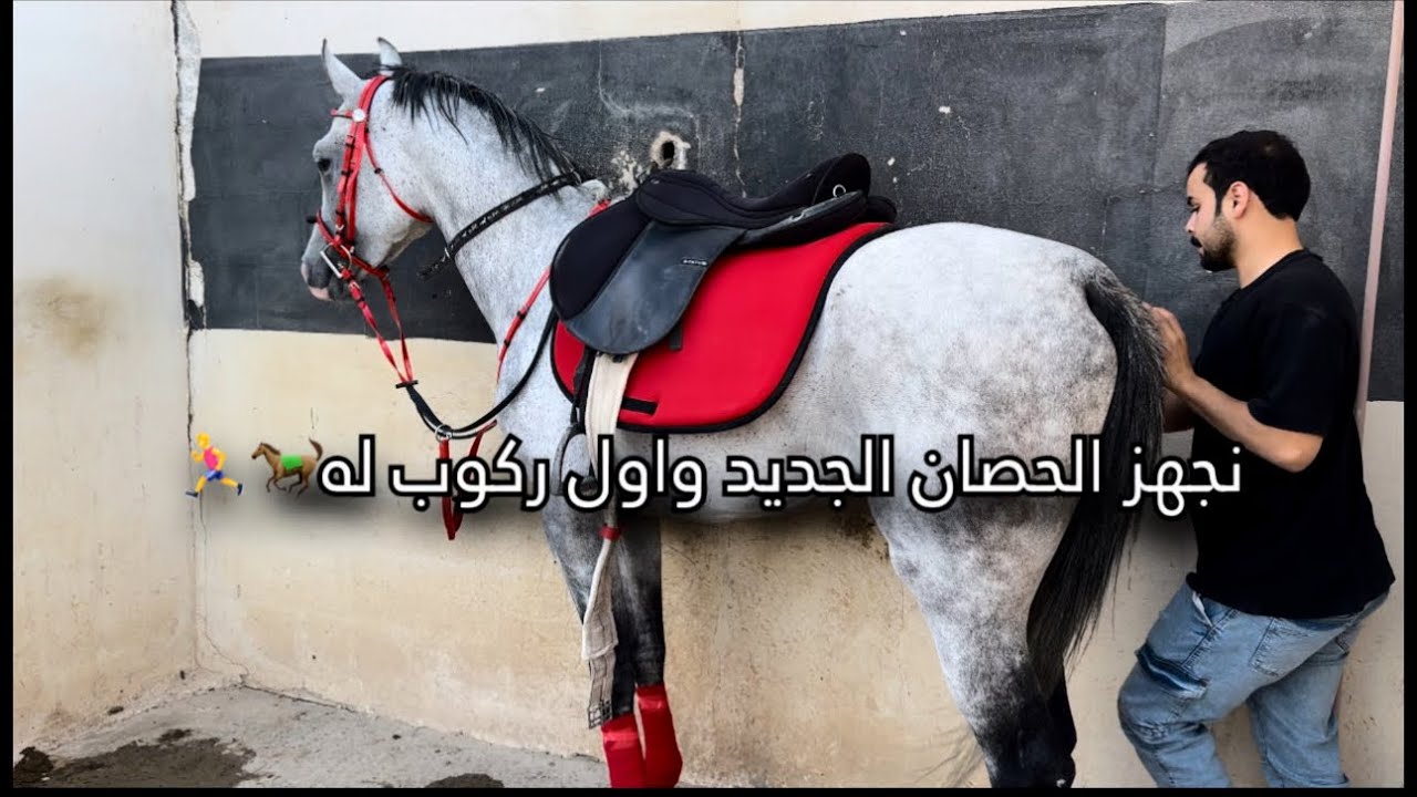 فلوق 🌟تجهيزات الحصان الجديد❤️🐎 .