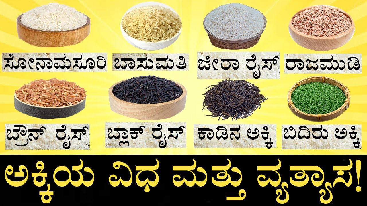 ಪ್ರತಿದಿನ ತಿನ್ನೋ ಅಕ್ಕಿಯಲ್ಲೂ ಇದೆ ಸಾವಿರಾರು ವಿಧ! | Different varieties of rice in India | India Reports