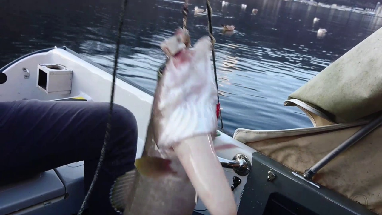Two norwegians line fisking...