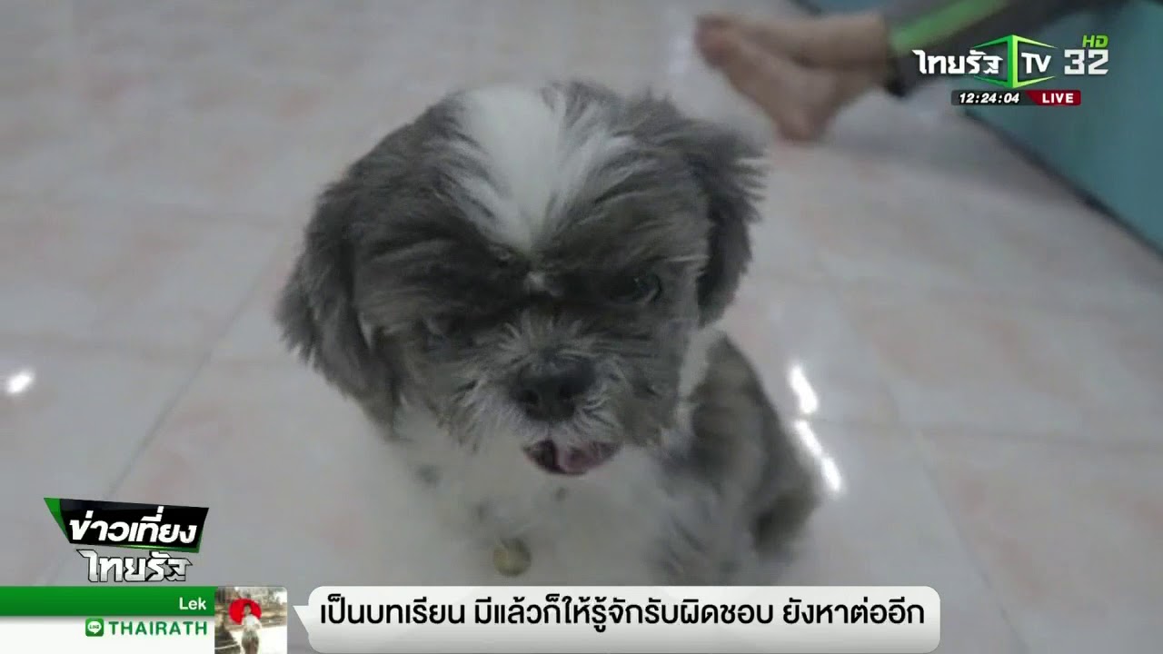 สุนัขแสนรู้เก็บเงิน-ทอนเงินลูกค้า | 24-07-61 | ข่าวเที่ยงไทยรัฐ