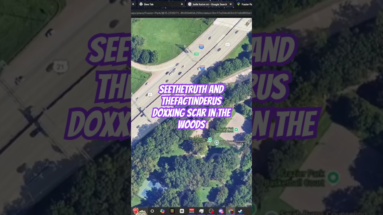 Seethetruth5 and thefactfinderus doxxing scar in the woods