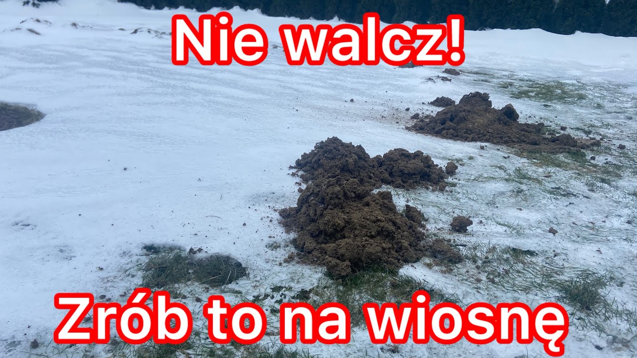 Krety w ogrodzie – czy warto z nimi walczyć? Moja sprawdzona metoda bez chemii! #krety #kopce