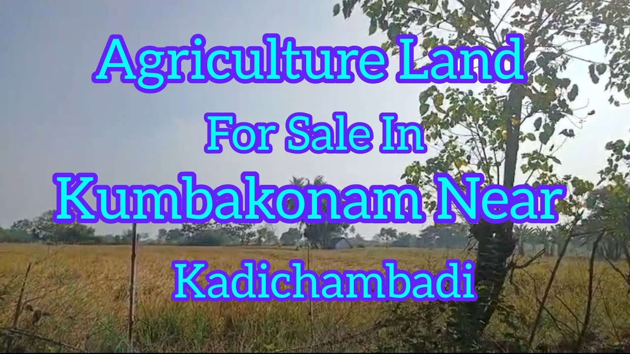 Agriculture Land For Sale In Kumbakonam Near Kadichambadi / #agriculturelandforsale 