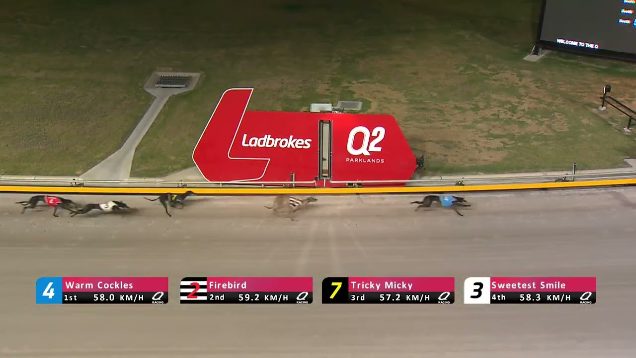 Q2-Parklands-05022026-Race-3