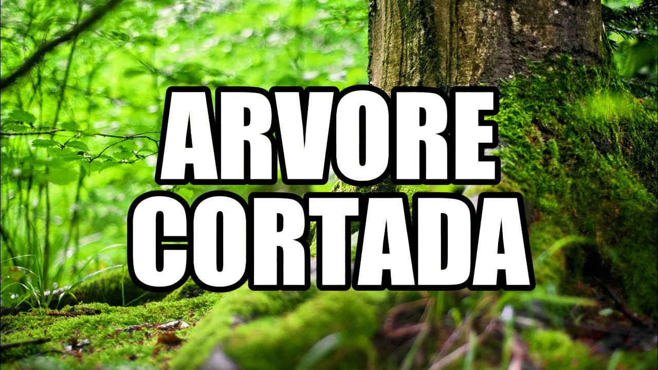 ÁRVORE CORTADA - Valesca Mayssa | (Cover Cleiton Lisboa): DEUS RENOVA O QUE O MUNDO DESTRUIU! 🌳🔥