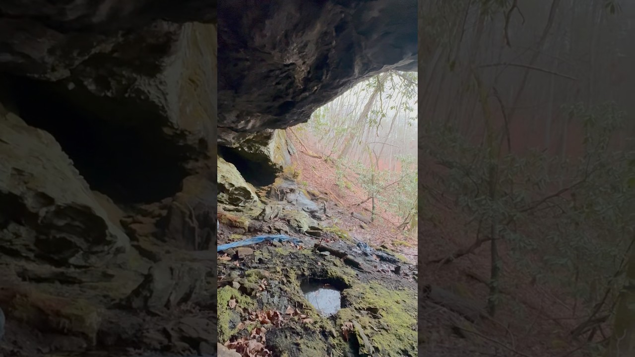 Unsettling Discovery in North Georgia Mountains