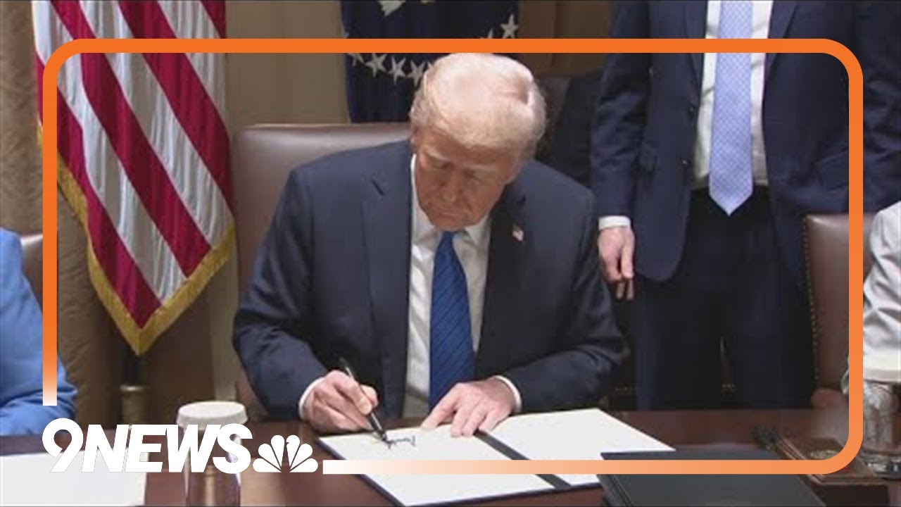 Legal expert discusses Trump's executive action overhauling US elections