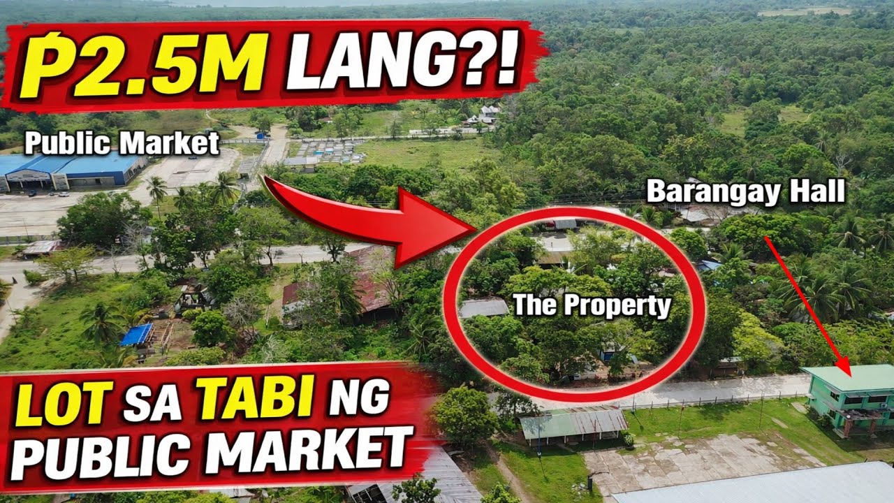 550 Sqm. Commercial - Residential Lot in Puerto Princesa City