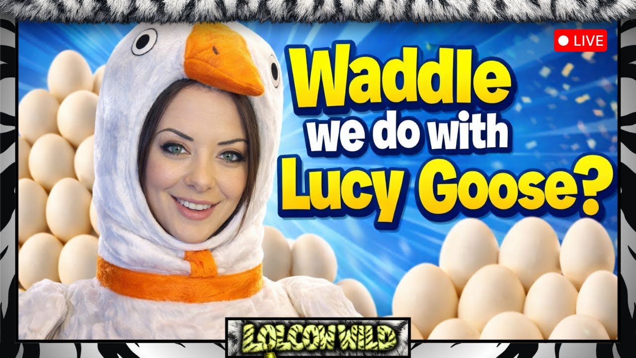 Goose mode: Activated 🪿🤣🥚