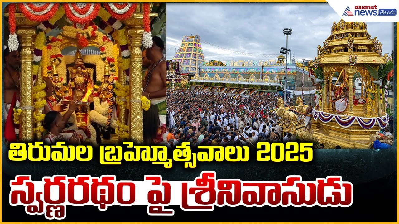 Tirumala Brahmotsavam 2025 | స్వర్ణరథం పై శ్రీనివాసుడు | Swarna Ratham | Asianet News Telugu