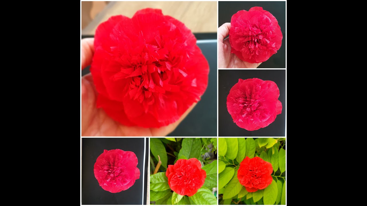 Comment faire une pivoine fleur en crêpe papier! Pivoine fleurs en papier - Pivoine en papier crêpe