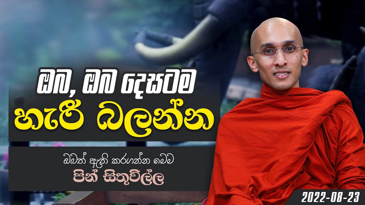 ඔබ, ඔබ දෙසටම හැරී බලන්න.. | පින් සිතුවිල්ල ධර්ම දේශනා මාලාව | 2022-08-23