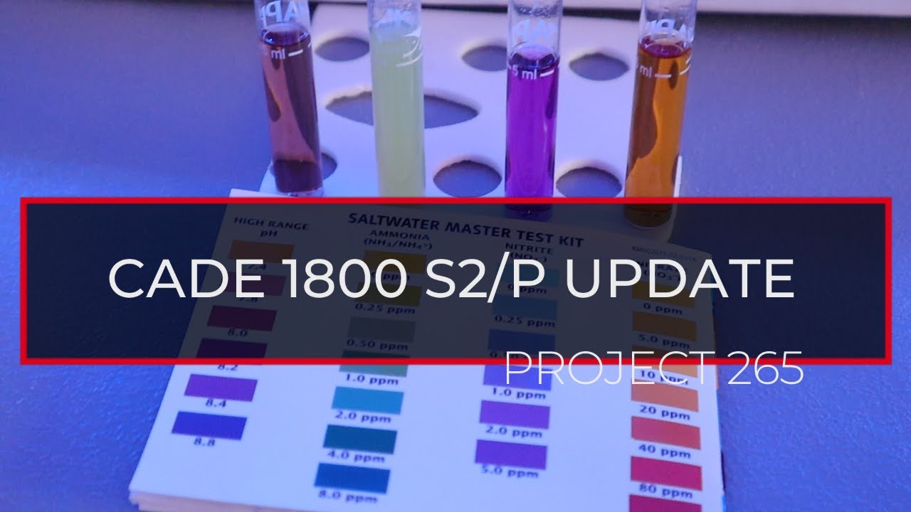 Cycling The 265 Gallon Saltwater Aquarium | Cade 1800 S2 Peninsula