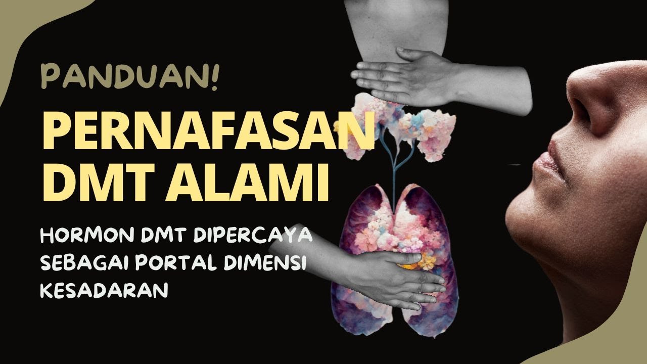 #295 📌 Seni Pernafasan DMT Pembuka Portal Dimensi Kesadaran. [Warning‼] Baca Petunjuk Sebelum Mulai