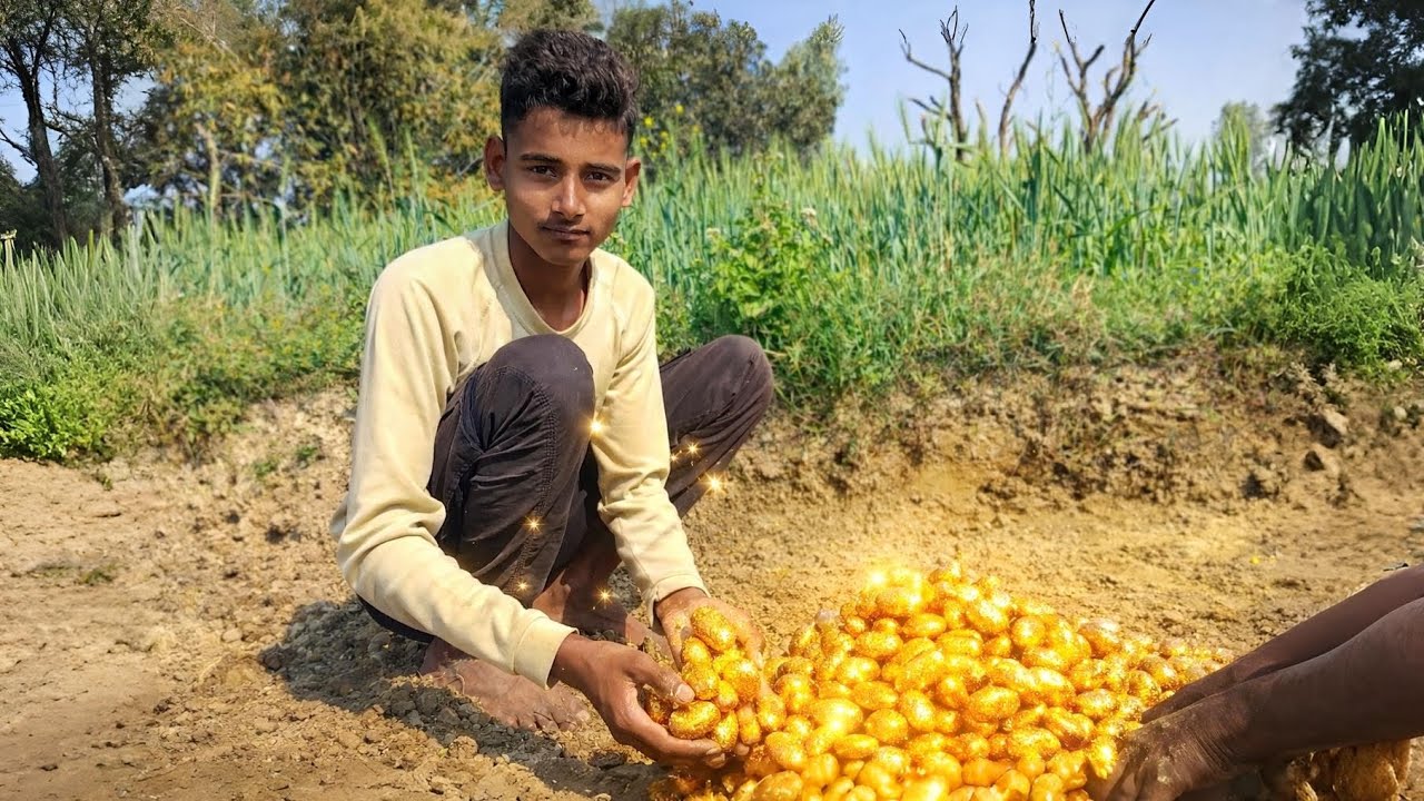 आलू से सोना 😱 खेत में मिला खजाना | Amazing Village Farming Vlog