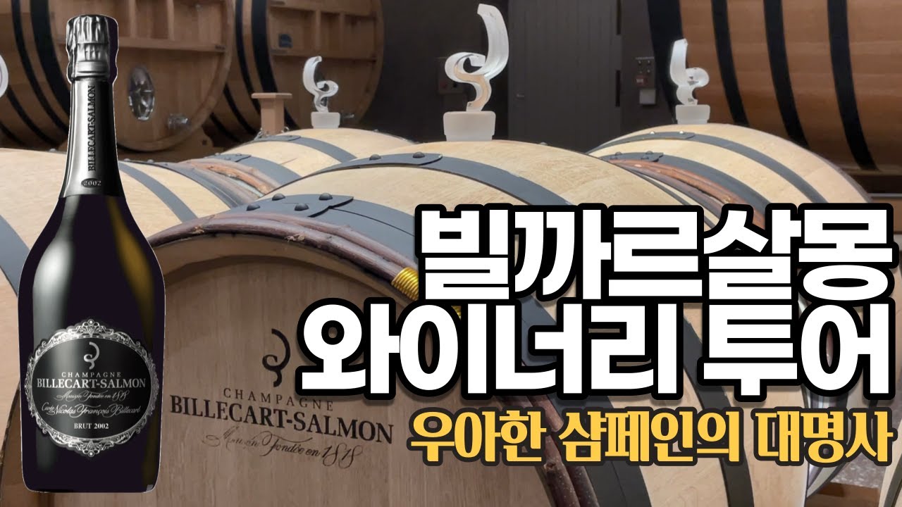 우아한 샴페인의 대명사✨빌까르살몽 다녀왔습니다[와이너리 투어]