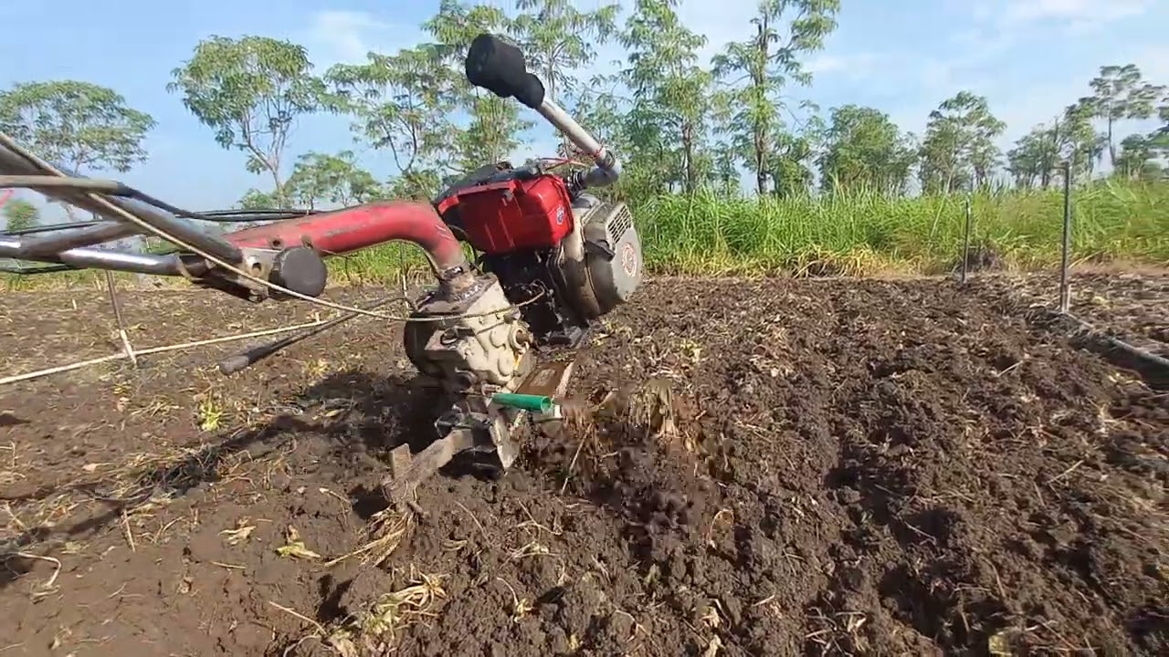 ヤンマー L60 耕うん機 土を耕す