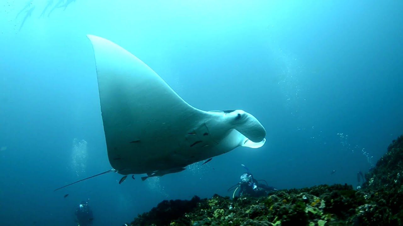 Nikon D7000, Tokina, 10 17mm, Julian Rocks, Byron Bay 100