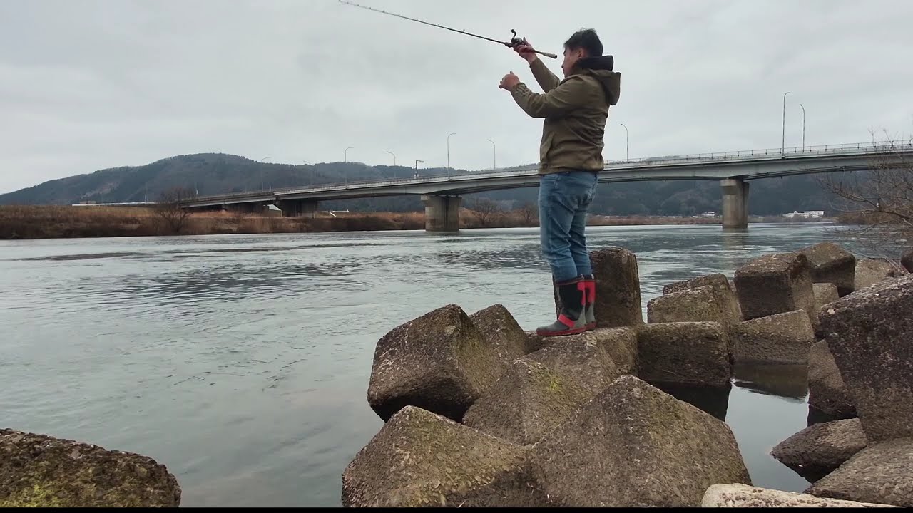九頭竜川サクラマス　高屋橋　2026年2月26日