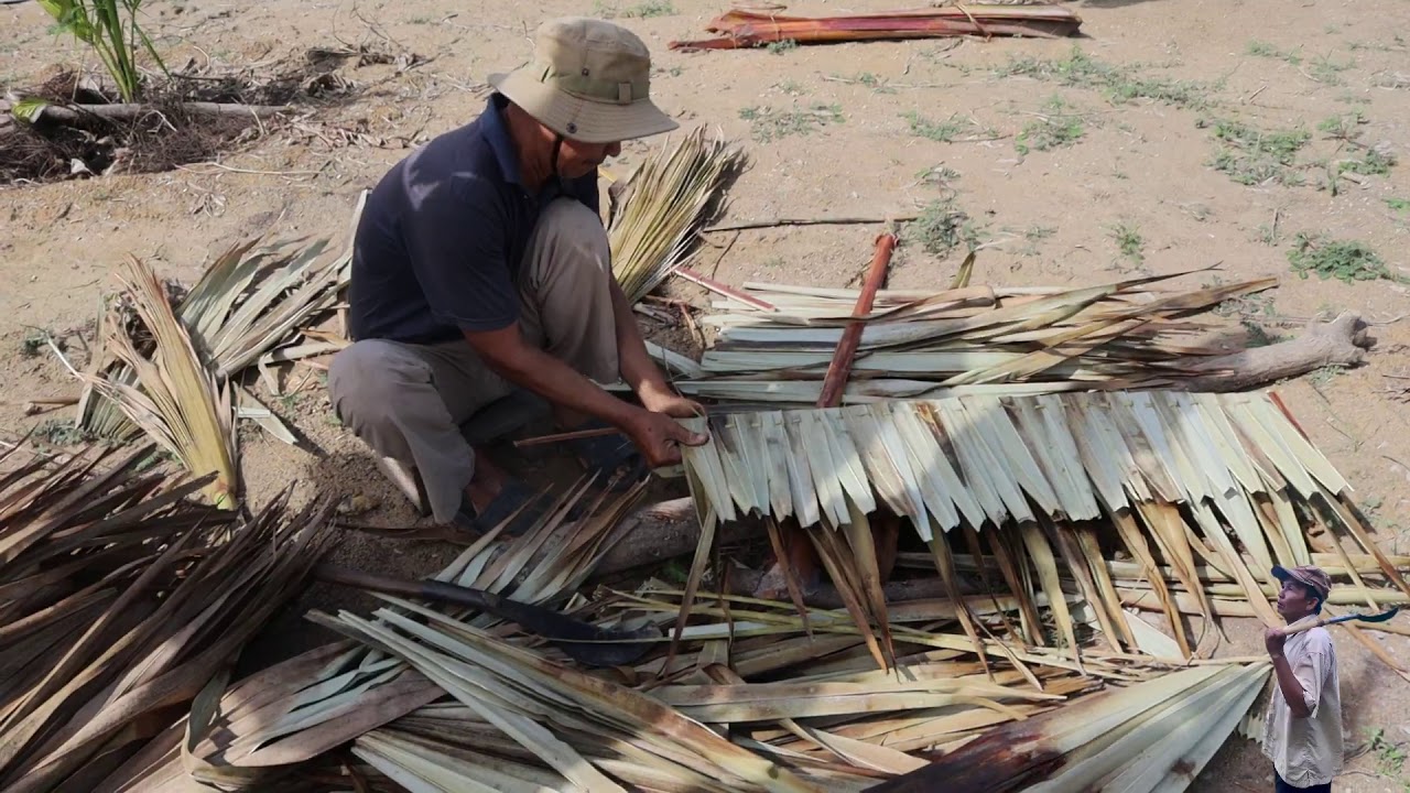 Making hut from palm tree leaves - Traditional hut