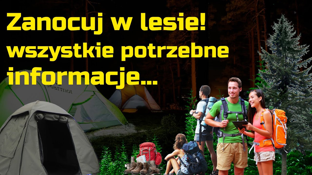 Zanocuj w lesie - wszystkie informacje jak legalnie spać w lesie