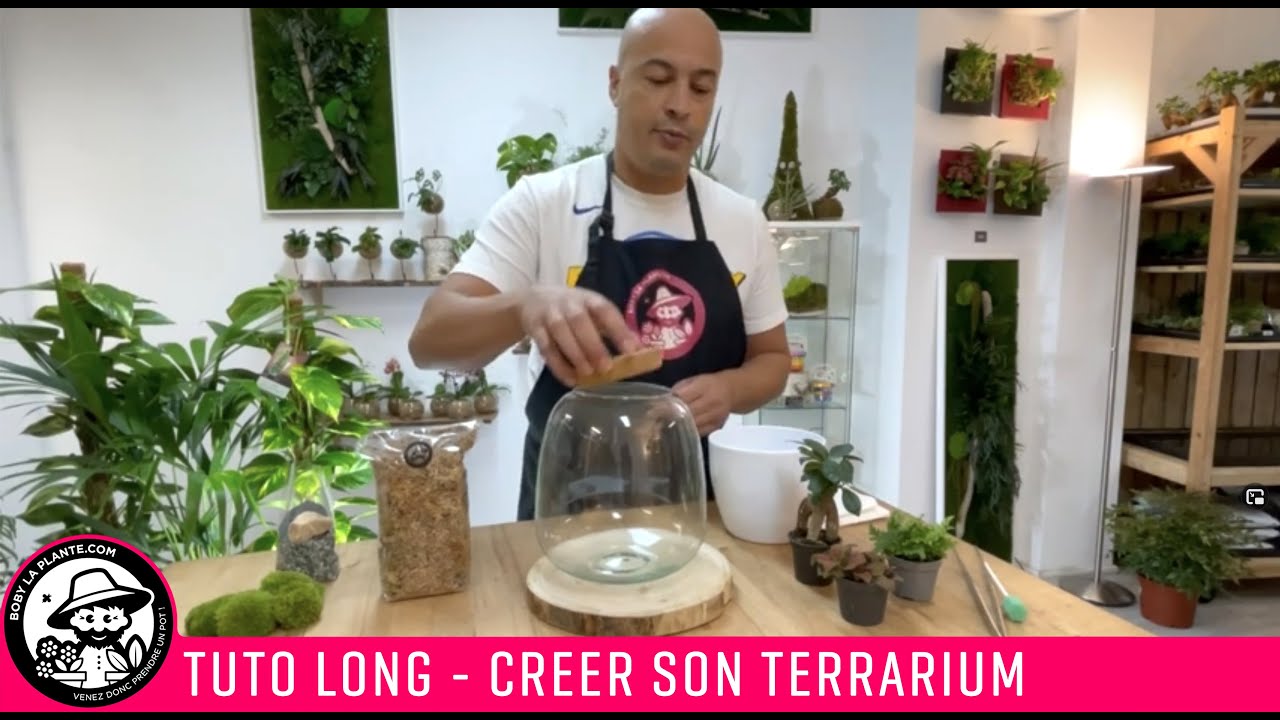 Tuto - Créer son Terrarium avec Boby la Plante (version longue)