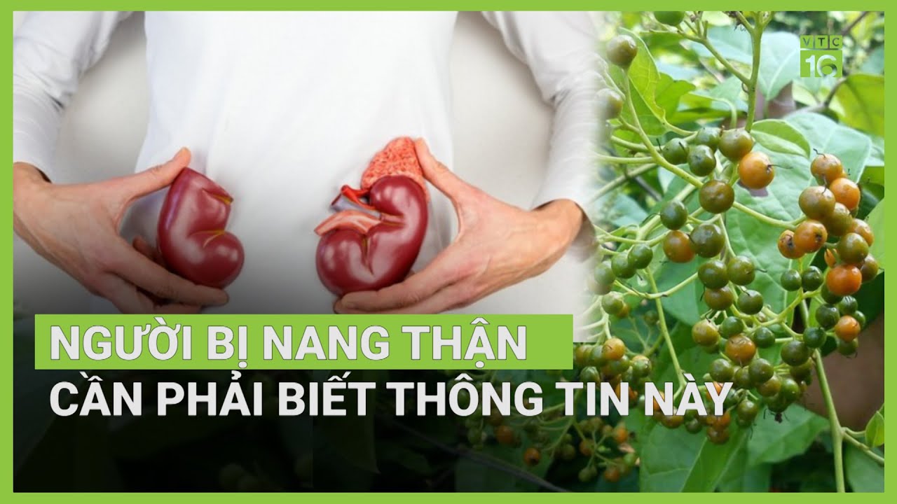 Cây xạ đen có hỗ trợ điều trị nang thận? | VTC16