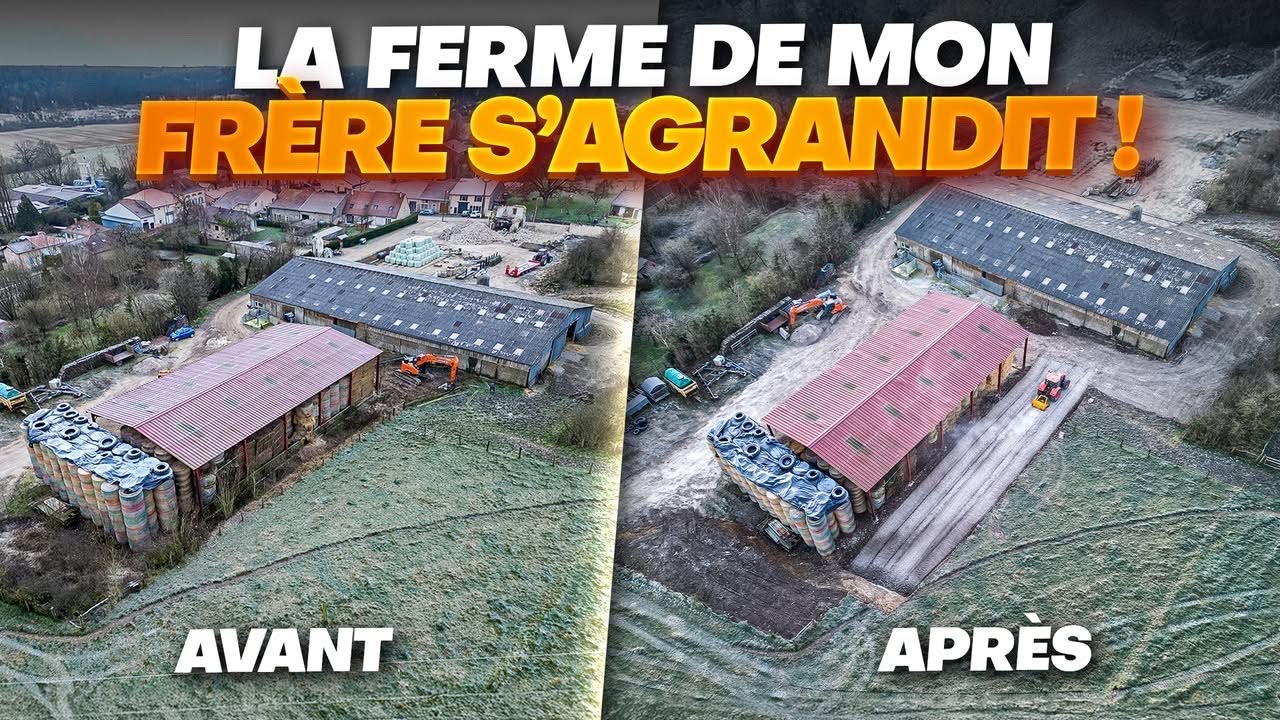 ON CASSE TOUT! Démolition/ terrassement avec FILOU et FLORIAN !