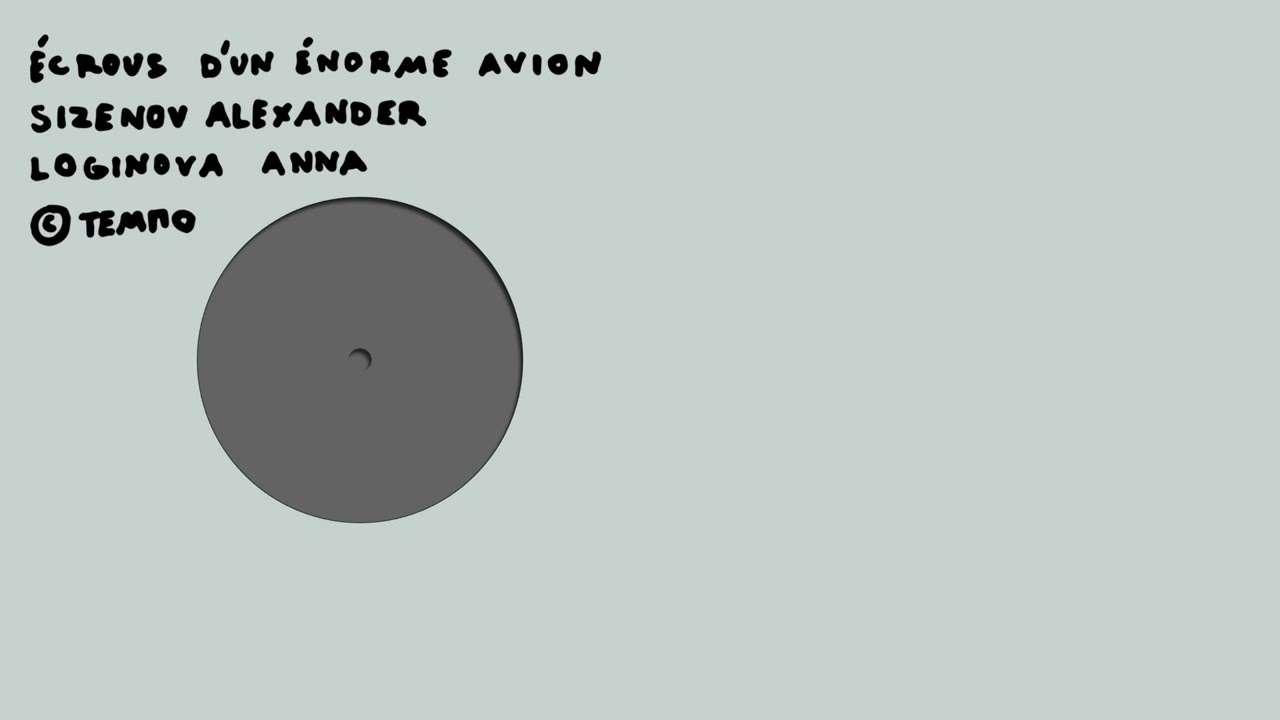 Sizenov Alexander, Loginova Anna — Écrous d'un Énorme Avion