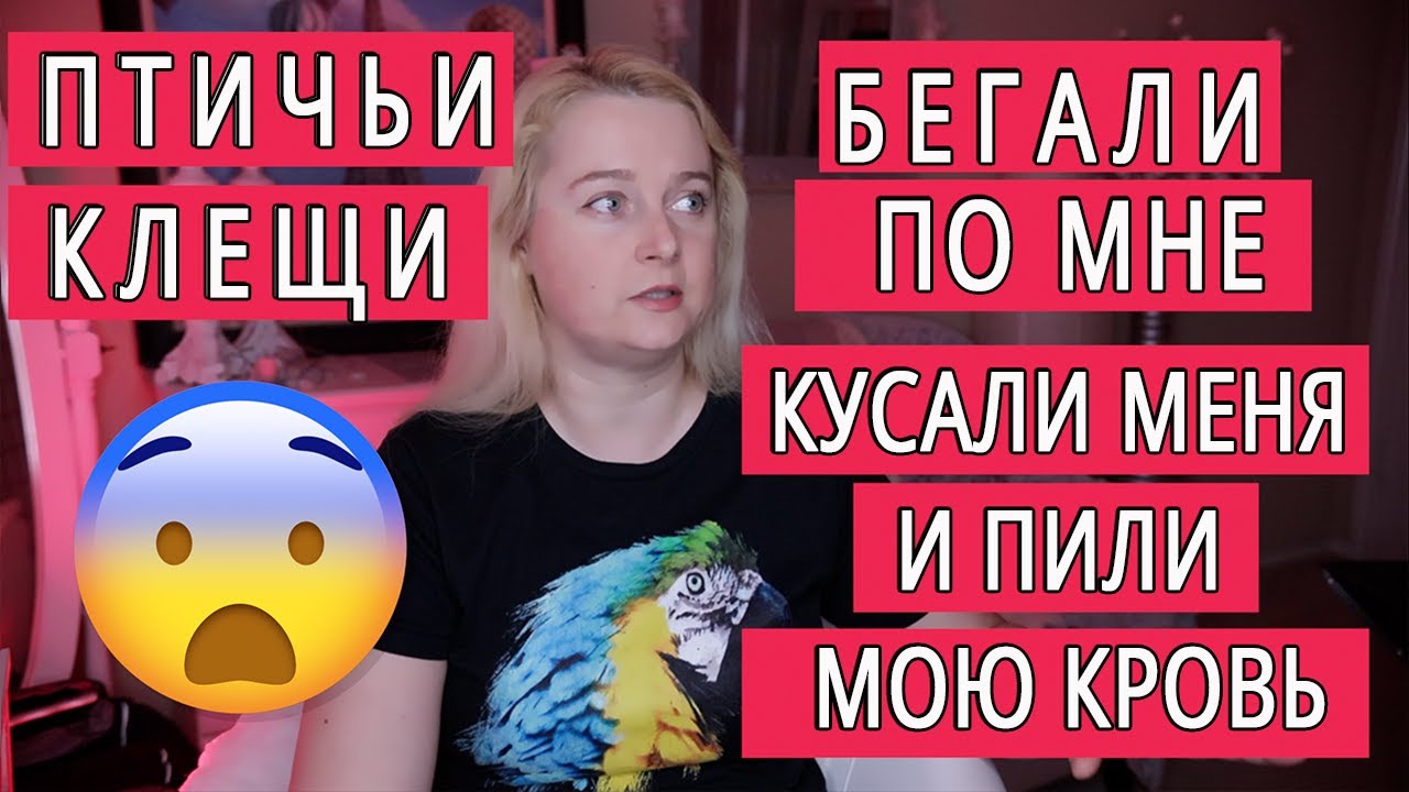 ПТИЧИЙ КУРИННЫЙ КЛЕЩ КРОВОСОС У ПОПУГАЕВ | КАК ЛЕЧИТЬ ПТИЦ И КАК ОТ НЕГО ИЗБАВИТЬСЯ