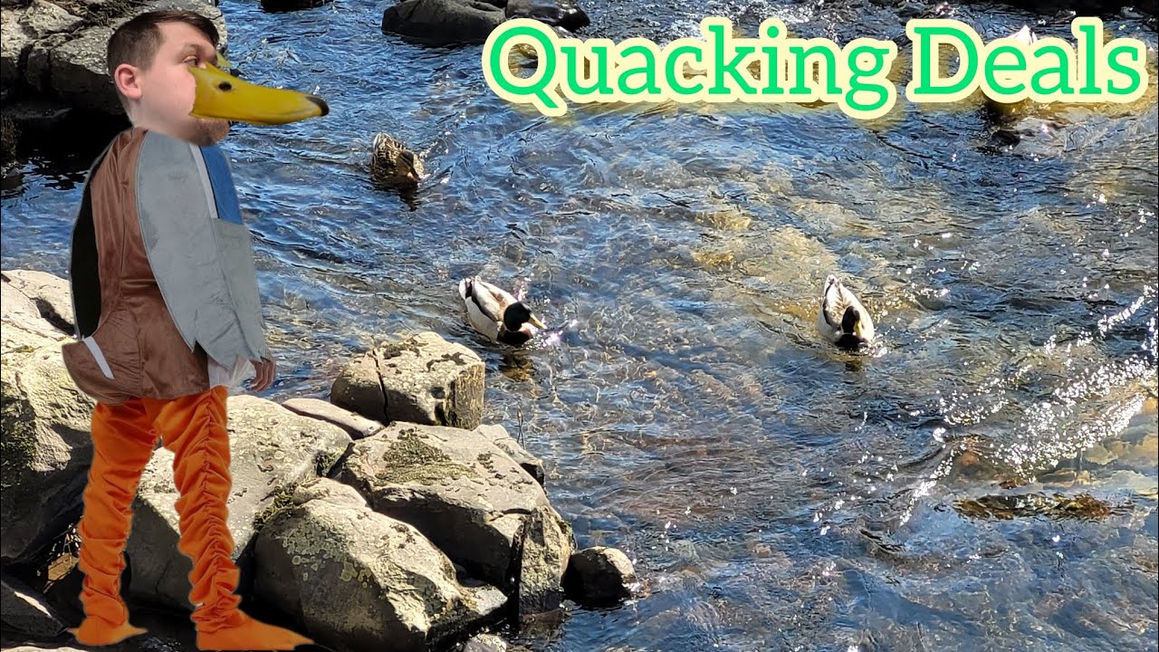 Just Ducking Around To Find Bargains In Porth 🦆