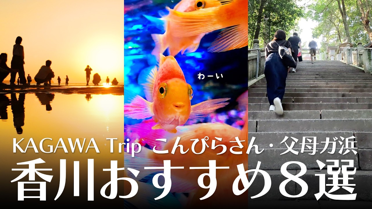 香川の絶景 うどん 穴場スポットまで観光おすすめ8ヶ所をサクっとご紹介【四国旅行】@haru-tours​